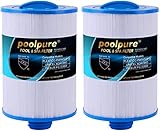 POOLPURE Spa Filter, Whirlpool Filter Replacement for Unicel 6CH-940, Pleatco PWW50P3, PWW50-P3, Filbur FC-0359, Waterway Plastics 817-0050, 25252, 378902, 03FIL1400 (Pack of 2)