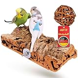 Vogelgaleria® Premium Korksitzbrett für Vögel wie Wellensittich Nymphensittich & GRATIS Knabberball | EIN Sitzbrett aus Kork sollte als Zubehör in jeden artgerecht bestückten Käfig |20x10cm groß