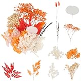 Natürliche Getrocknete Blumen, 10 Sorten Trockenblumen zum Deko Gepresste, Klein Trockenblumen Kunst Basteln Handwerk für DIY Harz Scrapbooking Karten Zubehör Handwerk Geschenk Deko