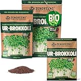 ZenGreens® - Bio Ur-Brokkoli Sprossen Samen - Wähle zwischen 10g, 200g und 500g - Brokkolisprossen mit hohem Sulforaphan-Gehalt - Stengelkohl Samen - Brokkolisamen - Keimrate von über 97%