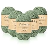 Coopay Wolle zum Häkeln, 225g (5x45g) Weiches Häkelgarn, 5 Faiding Wolle zum Stricken, Babywolle zum Häkeln für Anfänger, Super Weich Häkelgarn Babywolle für Häkel- und Strickprojekt - Grüngrau