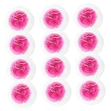 HONITANO 25 Stück Teiliges Gaslaternen-mäntel aus Doppelnetz für Outdoor Camping Helles Langlebiges Brenngas-Laternenzubehör Windbeständig Leicht Montierbar Vielseitig für Wandern und