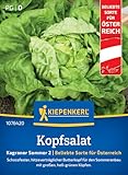 Kiepenkerl Profi-Line Kopfsalatsamen Kagraner Sommer 2 1076420 - Groß und fest mit nussigem Geschmack - hellgrüne Köpfe - Samen Gemüse, Saatgut