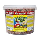 Pond Sticks Mixed 3,3L / 270g - Schwimmende Teichfischfutter-Sticks für Goldfische, Koi und alle Kaltwasserfische