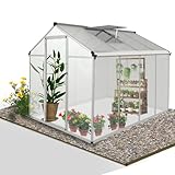 Gegaden Gewächshaus Aluminium für den Garten |Mit 8 cm dickeres Fundament| 242*190*195 cm | Vielseitig nutzbar als Treibhaus Gartenhaus winterfest Aufzucht Tomatenhaus Frühbeet und Pflanzenhaus silber