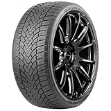 ARIVO Winterreifen 255/40 R 19 XL TL 100H WINMASTER PROX ARW3 BSW M+S 3PMSF