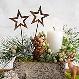 Vaktop Gartenstecker Weihnachten, 2 Stück Stern Roststecker Weihnachten, Metall Gartendeko Rost, 25 x 9cm Weihnachtsdeko für Draußen Garten Wetterfest Rost Deko