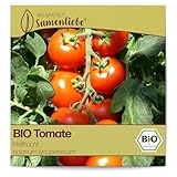 Samenliebe BIO Tomaten Samen alte Sorte Hellfrucht Freilandtomate rot 10 Samen samenfestes Gemüse Saatgut für Gewächshaus Freiland und Balkon BIO Gemüsesamen