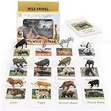 Safari Tiere Spielfiguren, 12 Stück Safari Tiere Figur Spielzeug mit Flash-Karten, Realistische Wildtiere Spielzeug, Zootiere Figuren, Kreativ Lernspielzeug, für Kinder Jungen und Mädchen