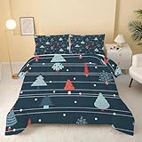 Syhi Qlty Bettdecke 220x240,Weihnachtsdeko Steppdecke 4 Jahreszeiten Vierjahreszeiten Ganzjahresdecke Bettdecken - Holz Bettdecke Ohne Bezug Waschbar mit 2 Kissenbezug 80x80cm RotDF55