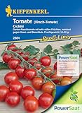 Kiepenkerl Profi-Line Kirschtomatensamen Crokini F1 Saatgut für Süße Cherrytomaten - Robuste Resistenzen gegen Pflanzenkrankheiten - Einfache Anzucht von Tomatenpflanzen im Garten, Gewächshaus & Kübel