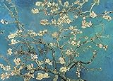 Puzzle 1000 Teile Erwachsene Mandelblüte von Vincent Van Gogh 70 x 50 cm Puzzles für Erwachsene Klassische Puzzles 1000 Teile Erwachsene Van Gogh Puzzles Schwer Erwachsene 1000 Teile