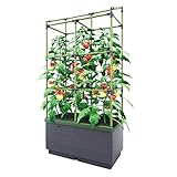 Bio Green Pflanzkübel CITYJUNGLE | Hochbeet für Balkon und Terrasse | Wasserspeicher und Rankhilfe integriert | Blumenkasten für Gemüse und Kräuter | 62 x 33 x 128 cm