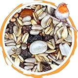 Daily Streufutter schalenlos | 10 kg ganzjähriges Premium Wildvogelfutter | Sonnenblumenkerne, Erdnuss, Haferflocken & Rosinen – ohne Schalen für saubere Futterstellen, Gärten & Balkone