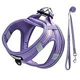 Hundegeschirr Kleine Hunde Lila Gepolstert, Welpengeschirr, Dog Harness Geschirr Hunde Klein XXS