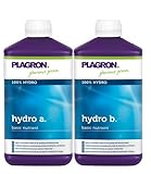 Plagron Hydro A und B 1 l