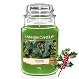 Yankee Candle Duftkerze im Glas (groß) | Mistletoe | Kerze mit langer Brenndauer bis zu 150 Stunden | Perfekte Weihnachtsgeschenke für Frauen