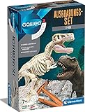 Clementoni Galileo Discovery – Ausgrabungs-Set T-Rex, Ausgraben von Dinosaurier-Fossilien mit Hammer & Meißel, für kleine Forscher, Spielzeug für Kinder ab 7 Jahren von Clementoni 69404