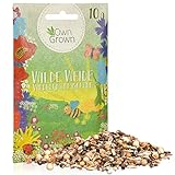 Wilde Weide: 10g Premium Wildblumensamen Mischung mehrjährig und einjährig - Insektenfreundliche Blumenwiese Samen für Bienen - Blumensamen für eine bunte Bienenwiese - Wildblumen Samen von OwnGrown