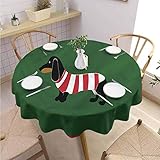 Agmoctz 12 x 2.5m 13mm Loch Orchard Garten Anti Netz Nylon Knotted Netz