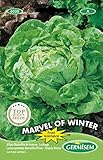 Germisem Kopfsalat MARVEL OF WINTER, mehrfarbig, EC6020