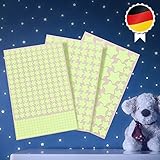 Paraboo Leuchtsterne Sternenhimmel - 452 fluoreszierende Leuchtaufkleber – Klebesterne selbstklebend - leuchtende Sterne für Kinderzimmer - Aufkleber leuchtend im Dunkeln - glow in the dark stars