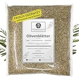 Olivenblätter 500g • 'Energie & Lebenskraft' • Erste Wahl • hoher Wirkstoffanteil • HerbsnRoots