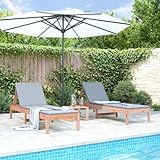 Qnhdfrt Sonnenliege 2er Set Douglasie 199,5x60x74 cm mit Verstellbarer Rückenlehne, Massivholz Gartenliege Strandliege für Garten Terrasse Balkon und Pool