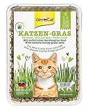 GimCat Katzengras 150g - Katzengras mit schneller Aufzucht in nur 5 bis 8 Tagen - 1 Schale (1 x 150 g)