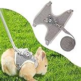 Norhogo Kaninchengeschirr, Verstellbare Kaninchenleine, Kaninchengeschirr Zubehör für Kaninchen, Katze, Kleintiere, 27-35 cm, 1,20 m (S, Grau)