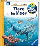 Wieso? Weshalb? Warum? junior, Band 57 - Tiere im Meer (Sachbuch ab 2 Jahre - mit Klappen) (junior, 57)