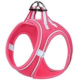 HEELE Geschirr Hund Klein Weich Hunde Geschirr Air Mesh Verstellbar Sicher Kontrolle Welpengeschirr Weste Hunde Brustgeschirr für Gehen, Laufen, Training, Reflektierend, Rosenrot, XS