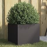 QJBSAVVA Pflanzkübel Schwarz 32x30x29 cm Stahl, Blumentopf Balkon Garten, Raised Box Terrasse Kräuterbeet
