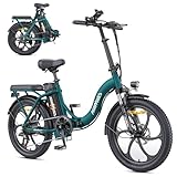 HillMiles MilePort 1 Elektrofahrrad Für Erwachsene, 250W Klappbares Elektrofahrrad Mit 36V 13AH Abnehmbarem Akku, Geschwindigkeit 25KM/H und Reichweite 100KM, 20„ * 3.0“ Fetter Reifen