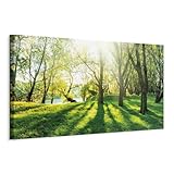 B&D XXL - Akustikbild Landschaft 150x50 cm 1 tlg Bilder Akustikschaum Schallschutz Akustikpaneele Wandpaneele Schalldämmung Wandbild Schallabsorber Akustikplatten Natur Bäume Wald c-B-0053-b-a