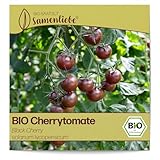 Samenliebe BIO Cherrytomaten Samen alte Sorte Black Cherry süß fruchtige Cocktailtomate Tomate schwarz rot 10 Samen samenfestes Gemüse Saatgut für Gewächshaus Freiland und Balkon BIO Gemüsesamen