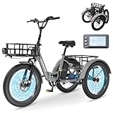 MOONCOOL Elektro-Dreirad für Erwachsene, Elektrofahrrad 250 W, herausnehmbarer Akku, 3 Räder Elektrofahrrad für Erwachsene (Schiefer Grau)