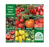 Nojus - Tomaten Samen Set – 10 Sorten – Verschiedene Tomatensamen Starter Kit - 10 Packen – Garten Samen Pflanzen Saatgut – Samen Gemüse Box 10 Sorten – Saatgut Box – Saat/Seeds