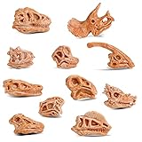 cobee Mini Dinosaurier Kopf Skelett Spielzeug, 11 STÜCKE Prähistorischer Tierschädel für Sandkasten Dino Kopf Modell Dinosaurier Knochen Spielsets Dinosaurier Figuren Puppenhaus Dekoration für Kinder