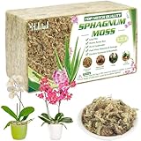 Halatool 1000g Premium Sphagnum Moos für Pflanzen & Orchideen - Organisches Torfmoos Langfaserig，Blumenerde für Zimmerpflanzen und Terrarien，Natürliche Feuchtigkeitsspeichernde Pflanzenerde