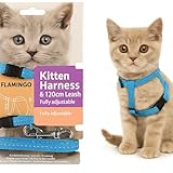 Flamingo Katzengeschirr mit Leine Elza – Blau – Für Kätzchen | Sicher, komfortabel & stilvoll!