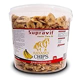 Supravit Bananenchips - 2kg Eimer Pferde leckerlies - knusprig getrocknete Bananen - Bananenchips ohne Zucker - appetitanregend als Ergänzung im Pferdefutter