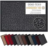 Carpet Diem Fußmatte, einfach sauber I Schmutzfangmatte Eingangsbereich - Fussmatte Innen & Außen, rutschfeste Türmatte, Schmutzfang Teppich für Haustür I Fußabtreter in Anthrazit-Schwarz 40x60 cm