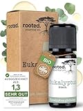 rooted.® BIO Eukalyptusöl 10ml [100% NATURREIN] - Echter Eukalyptus - Eucalyptus globulus für Aromatherapie, Duftlampe, Diffusoren, Raumduft, Duftkerzen und -Seifen