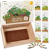 Saatgut Anzuchtset mit Holzkiste und 8 Sorten Pflanzen Samen: Kinder Anzuchtset Pflanzen mit Gemüse, Erdbeeren und Kräuter Samen – Mini Gewächshaus und Mini Garten Starter Kit von OwnGrown