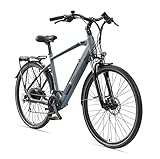 TELEFUNKEN E-Bike Herren Elektrofahrrad Alu 28 Zoll mit 24-Gang Shimano Acera Kettenschaltung, Pedelec Trekkingrad mit Hinterrad-Motor 250W 11,6 Ah, 36V Akku, XC941 Expedition