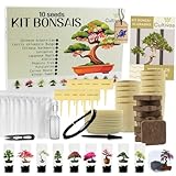 CULTIVEA® Bonsai Anzuchtset – 10 Bäume zum Selbst Anpflanzen – Komplettes Bonsai Starter Kit mit Samen, Töpfen & Werkzeug – Bonsai Anzucht Set für Anfänger – Geschenkidee für Gartenfreunde