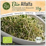Little Plants Bio Alfalfa Sprossen Samen [10g] - Alfalfa-Samen - Alfalfasprossen & Microgreens zum Keimen