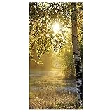 Hochwertiges Herbst Stoffbanner ,,Herbstbirken' 100 x 200 cm braun Deko-Banner Textil-Banner Dekoration Banner Wanddeko schwer entflammbar