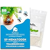 Futeco® – SF-Nematoden (10 Mio.) gegen Trauermücken – für 100 Pflanzen / 10m² Fläche – zum einfachen gießen